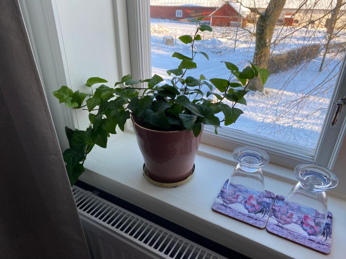 Bjaelbo Gaesthus B&B Skanninge Bagian luar foto
